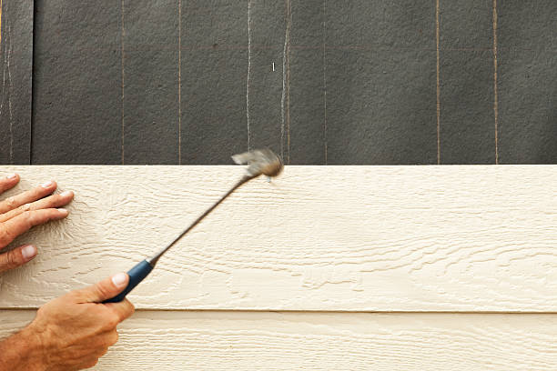 Best Siding for Commercial Buildings  in Wlowbrook, IL